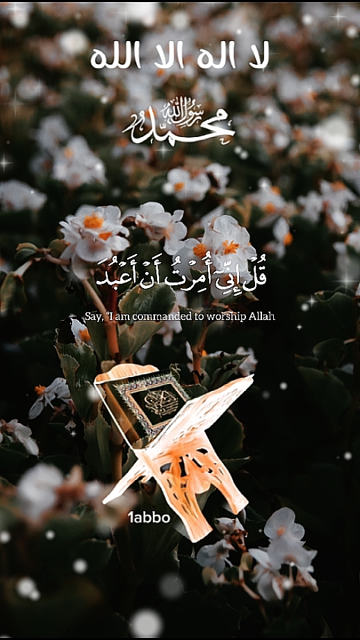 قرآن كريم 