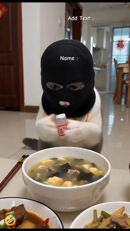 Lustige Katze
