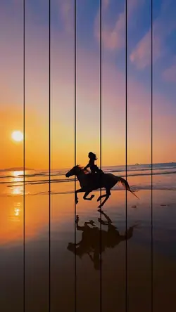 記録テンプレート