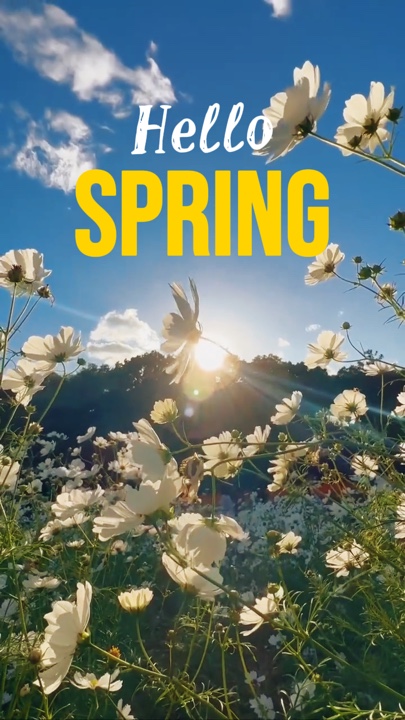 Hallo SPRING 
