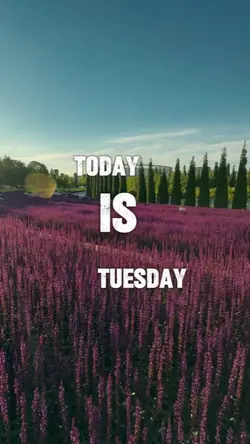 4th Day of August