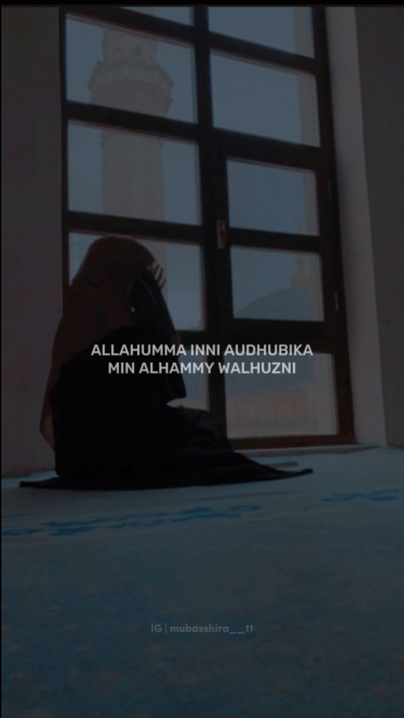 speaker~Mufti Menk 
