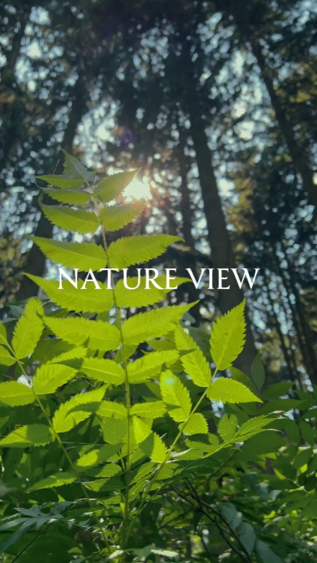 Nature View