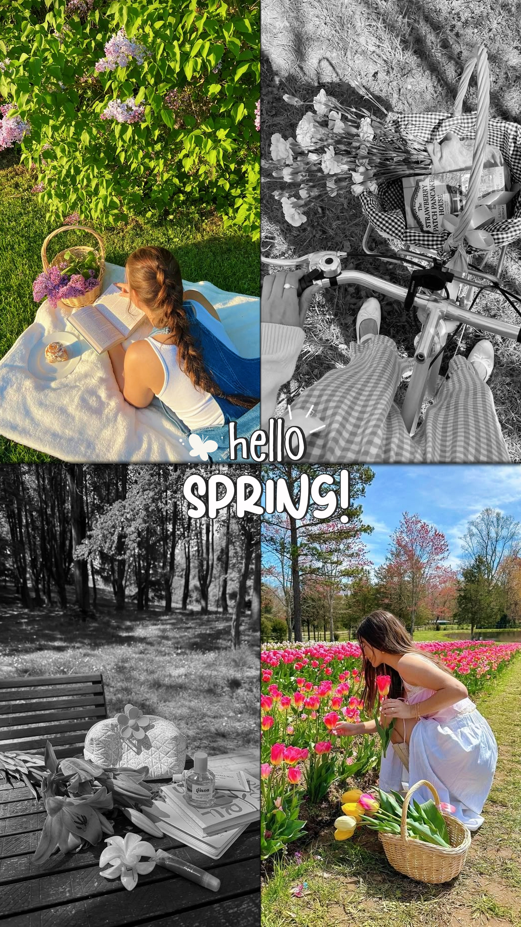Hola PRIMAVERA