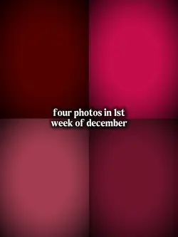 four photos 1stweek