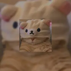 Cats ‹33