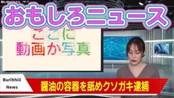 アホな若者のニュース