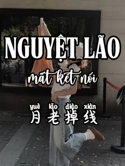 月老掉线