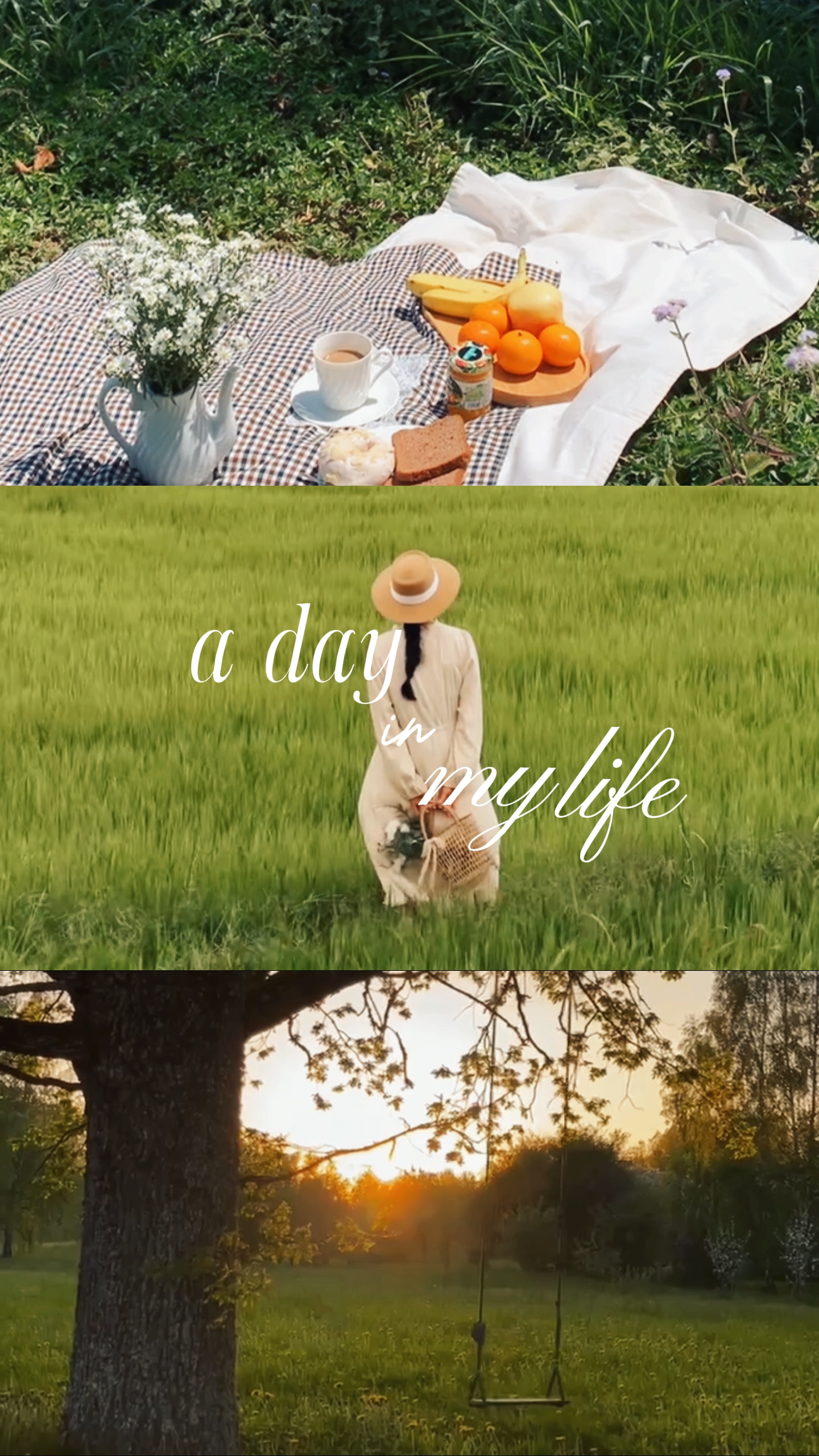 a day in my life