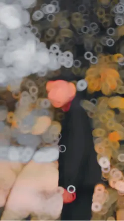 Nice Slowmo