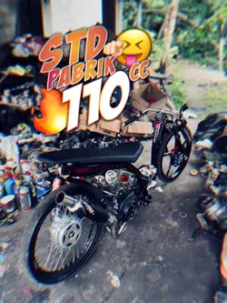 std 110