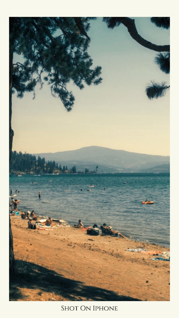 FUJI FILM AESTHETIC 