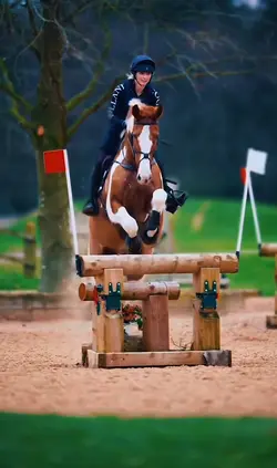 Dream horse 😍
