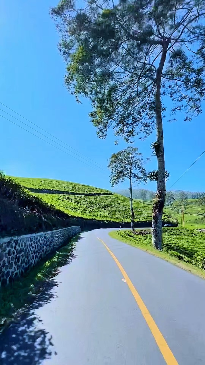 Viaje por carretera 