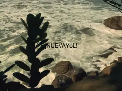 NUEVAYoL