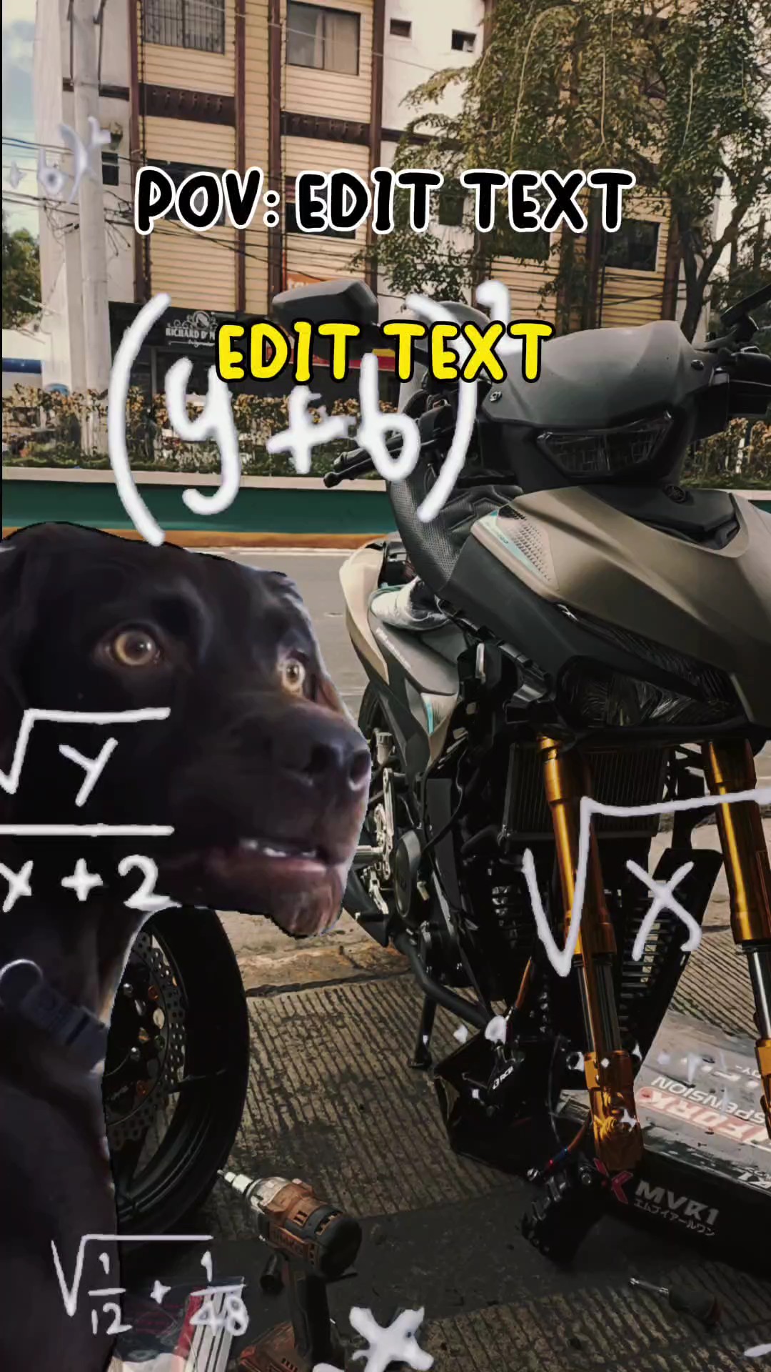  Matemáticas de perro confundido