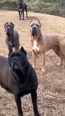 ใส่ภาพขำๆ