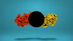 Black Hole ¹