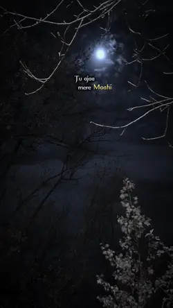 Mere Maahi 🖤🥀