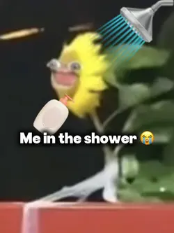 That's why 😭