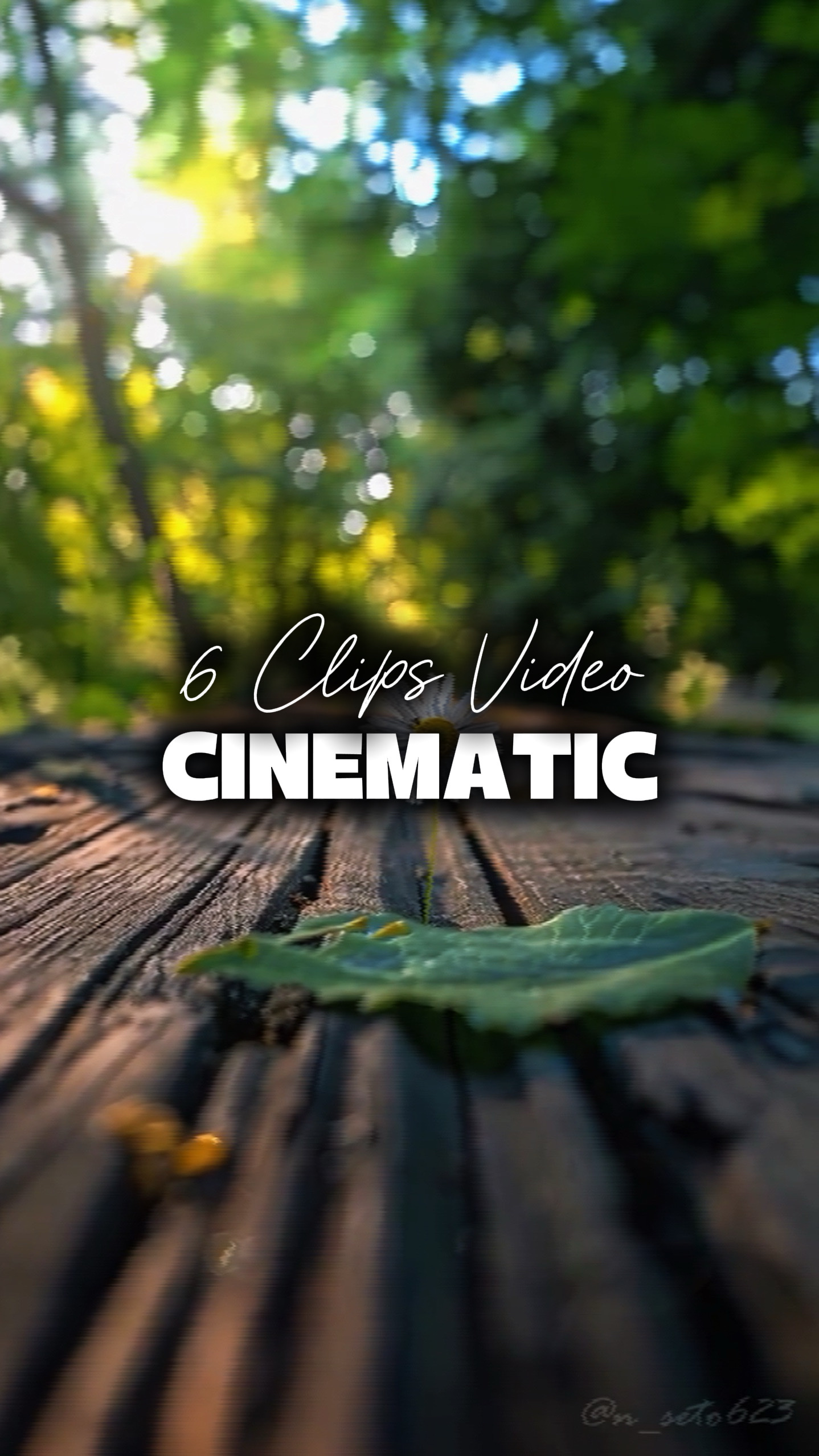 6 vidéos cinématiques 