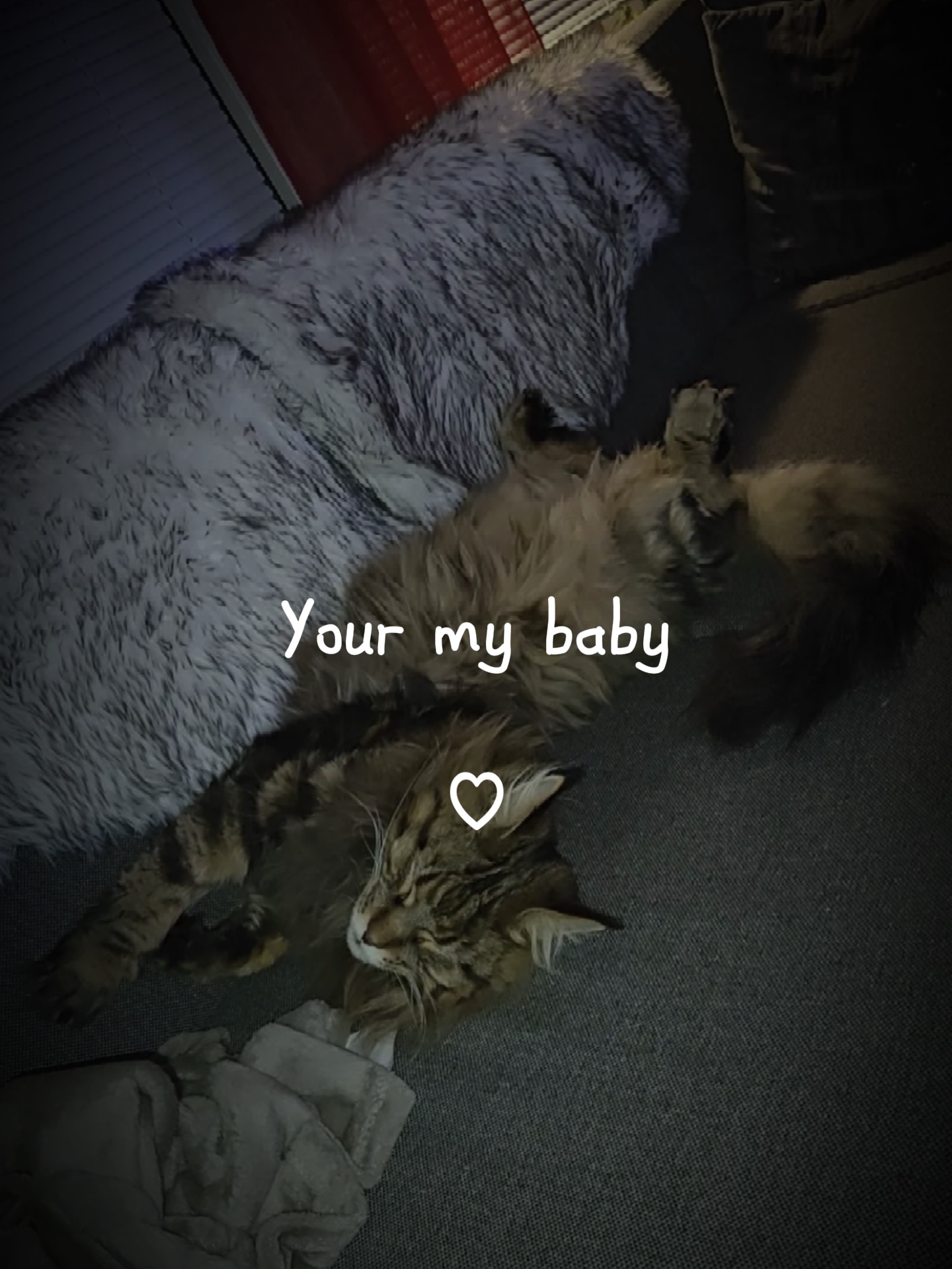my baby 