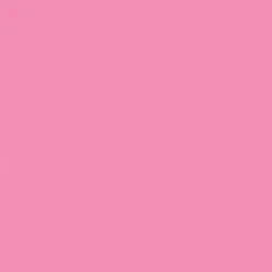 Flowers bloom in the