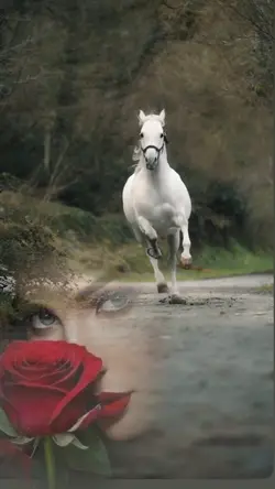 horse