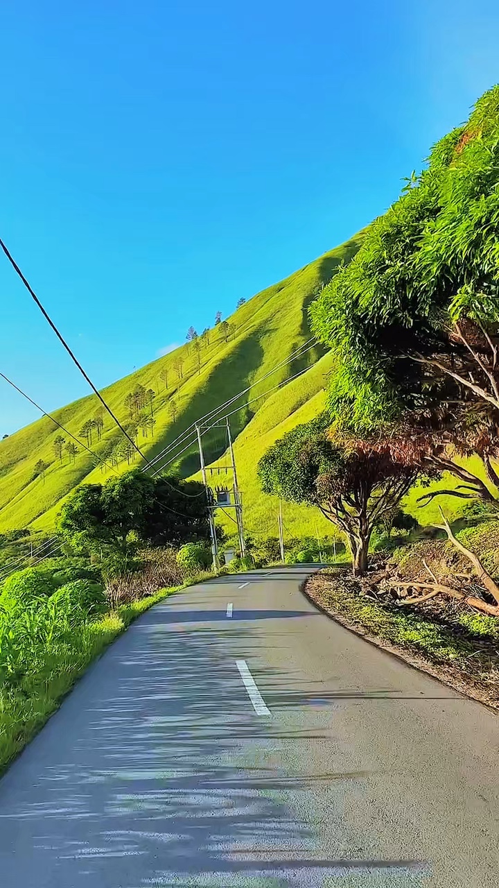 5 clips road trip