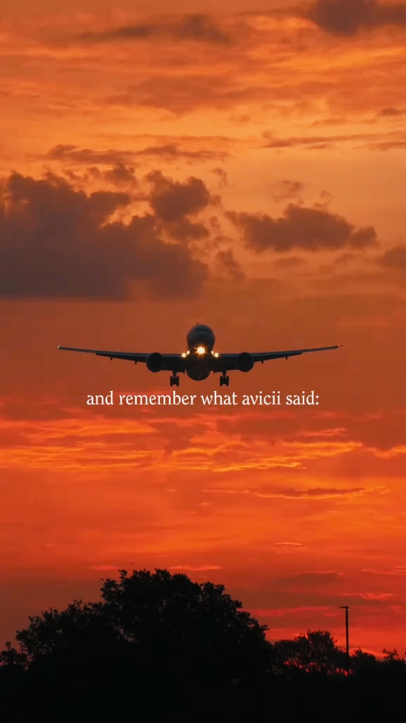 Quand Avicii a dit :