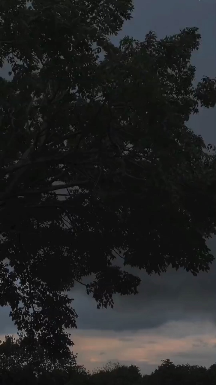 আমি নিজেই বিরক্ত