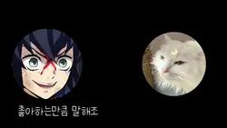 조아해