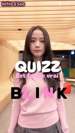 Est tu une BLINK ?๐ค๐