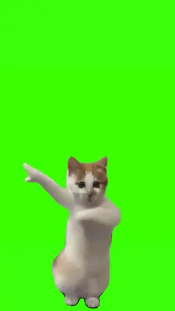 cat dancing meme