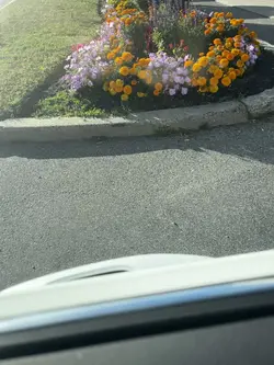 Workin on a project😊