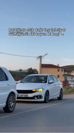 iki koyun bi keçi