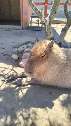 moja ulubiona muzyka