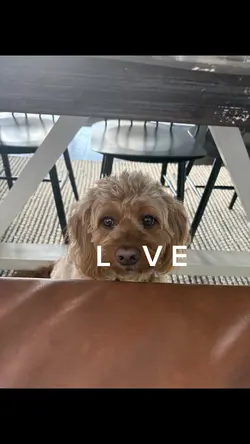 So cute!