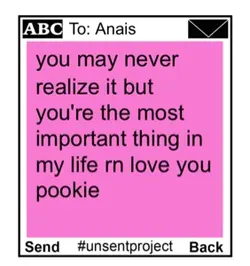 unsent project