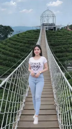 trend jembatan viral