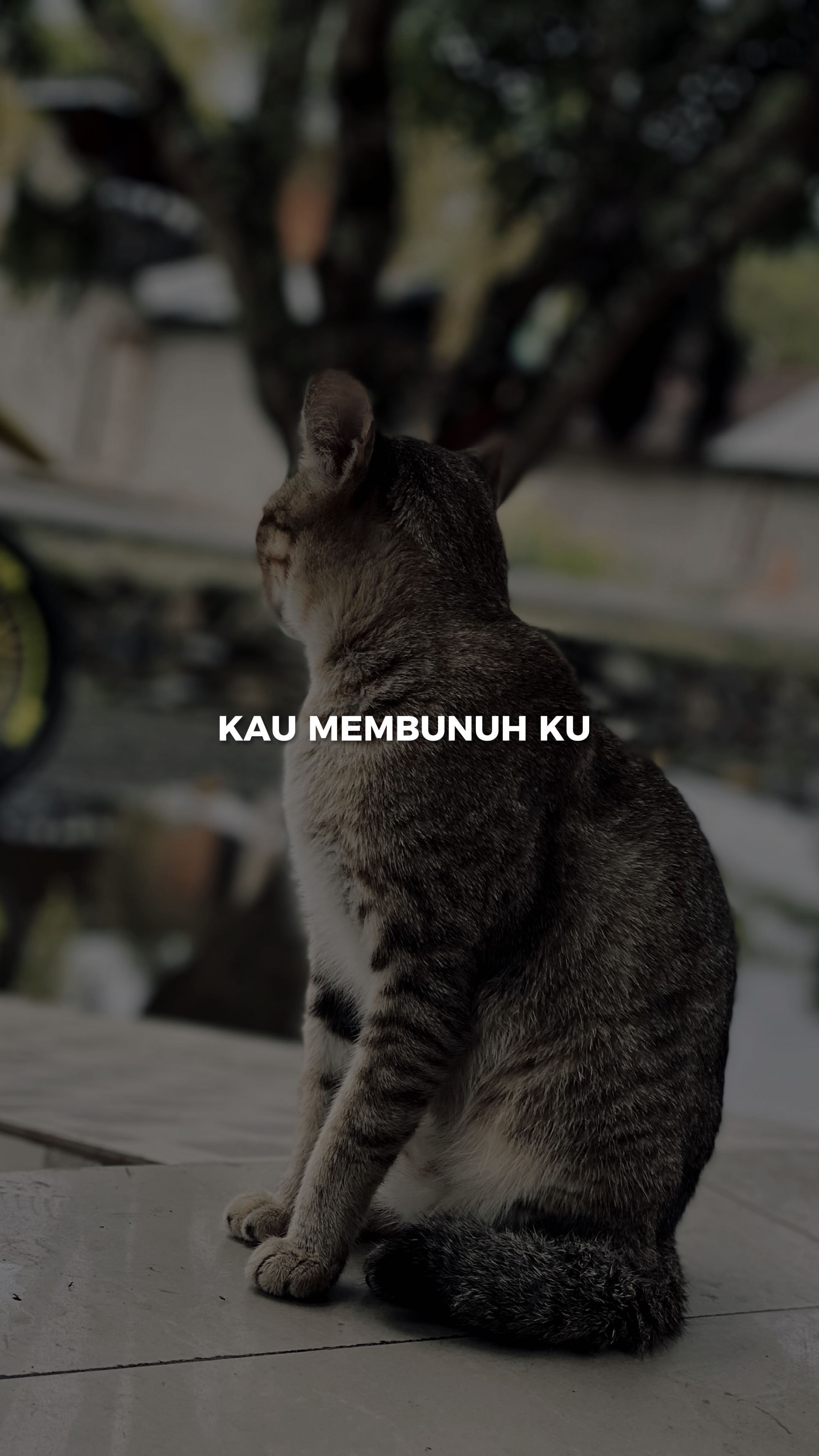 Duka last child