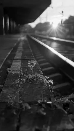 DENİZLERİN ÖNEMİ YOK