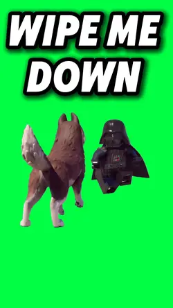 LEGO WIPE ME DOWN