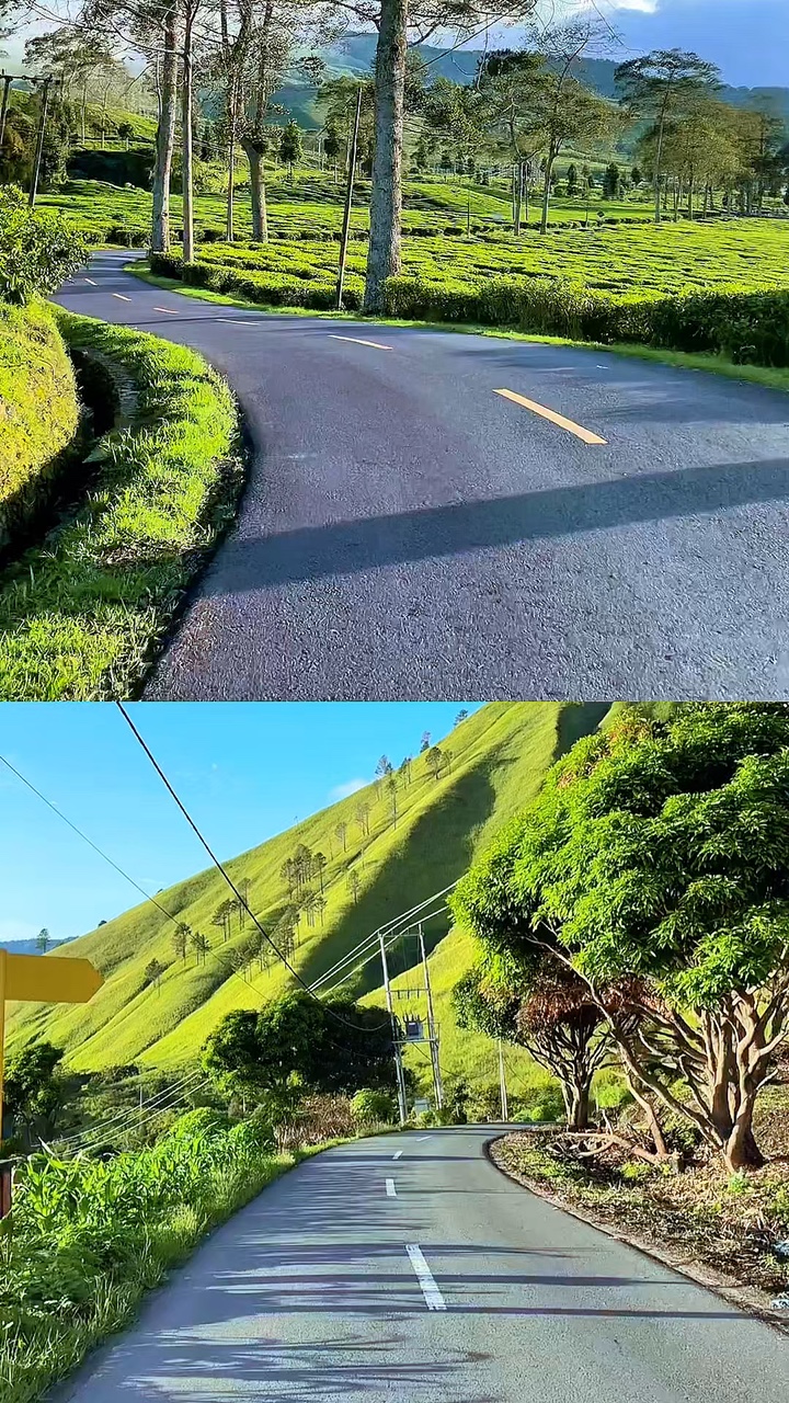 vidéo kolase 2