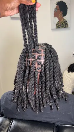 Loc retwist 2-strand