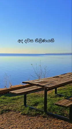 Sinhala vlog