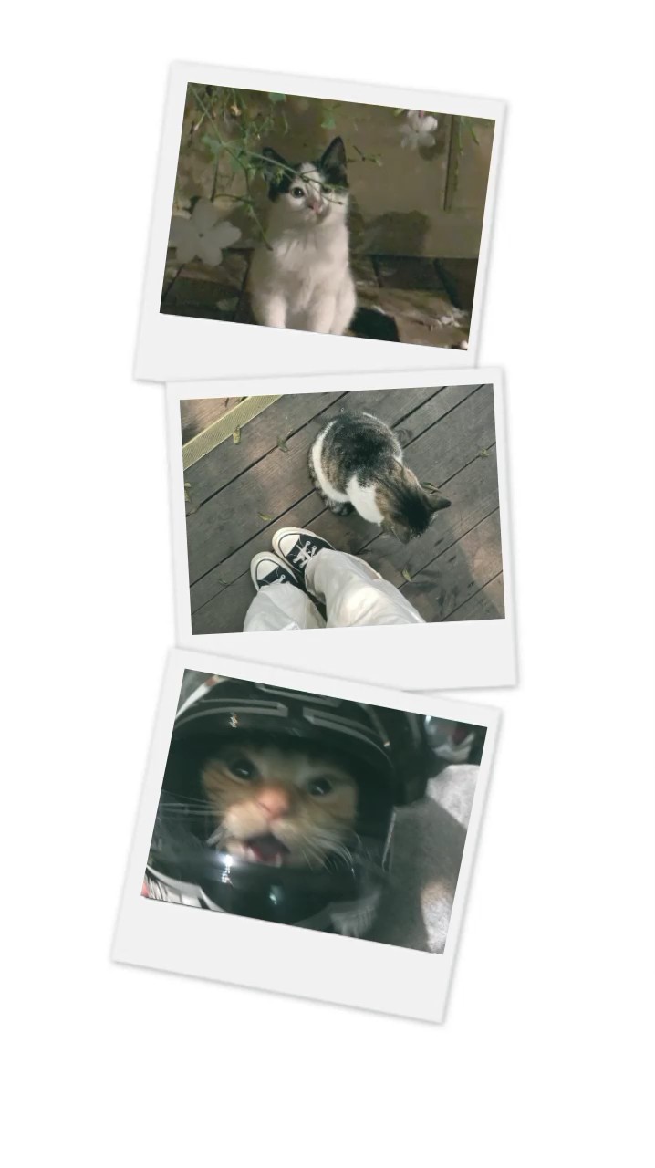 3รูป