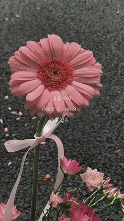 lirik Korea aestheti