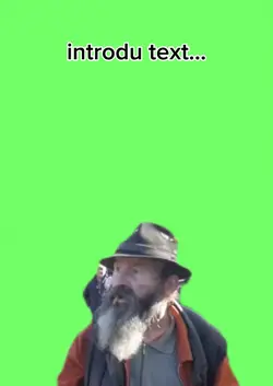 festivalul țuicii...