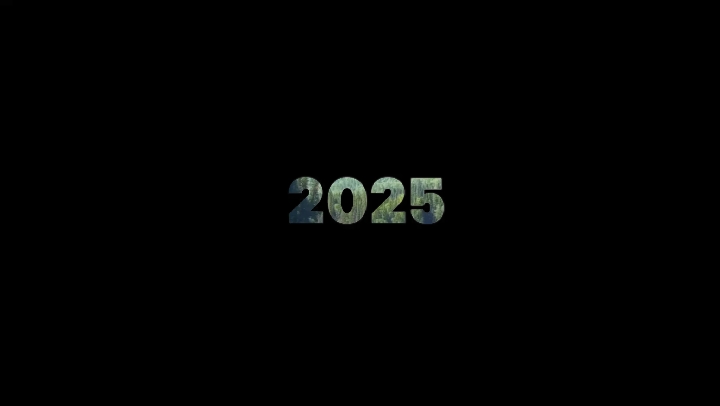 2025 요약
